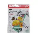 Papel Fotográfico.webp