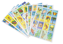 LOTERIA CAAR 10 TARJETAS VERDE