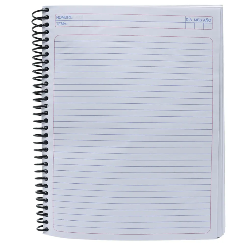 carruselllll (4).webp