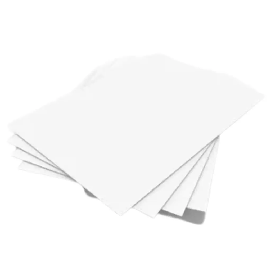 carruselllll (38).webp