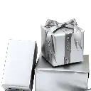 carrusel escarcha.webp