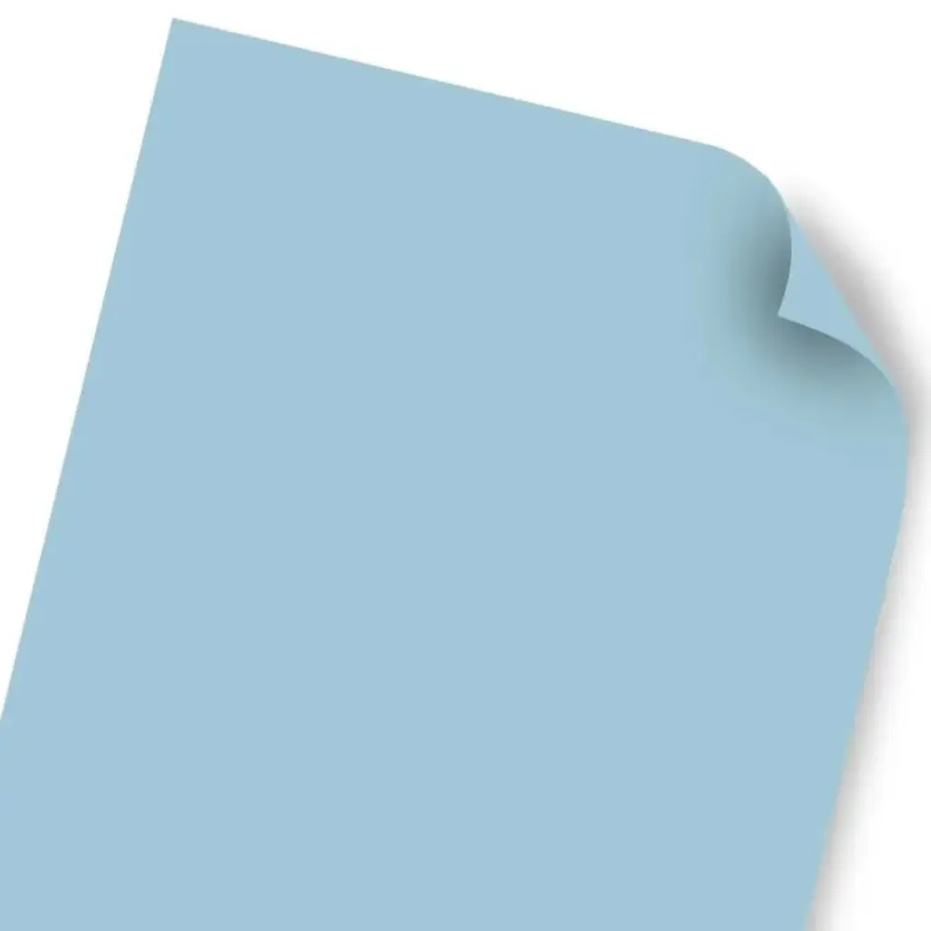 Carrusel  (96).webp