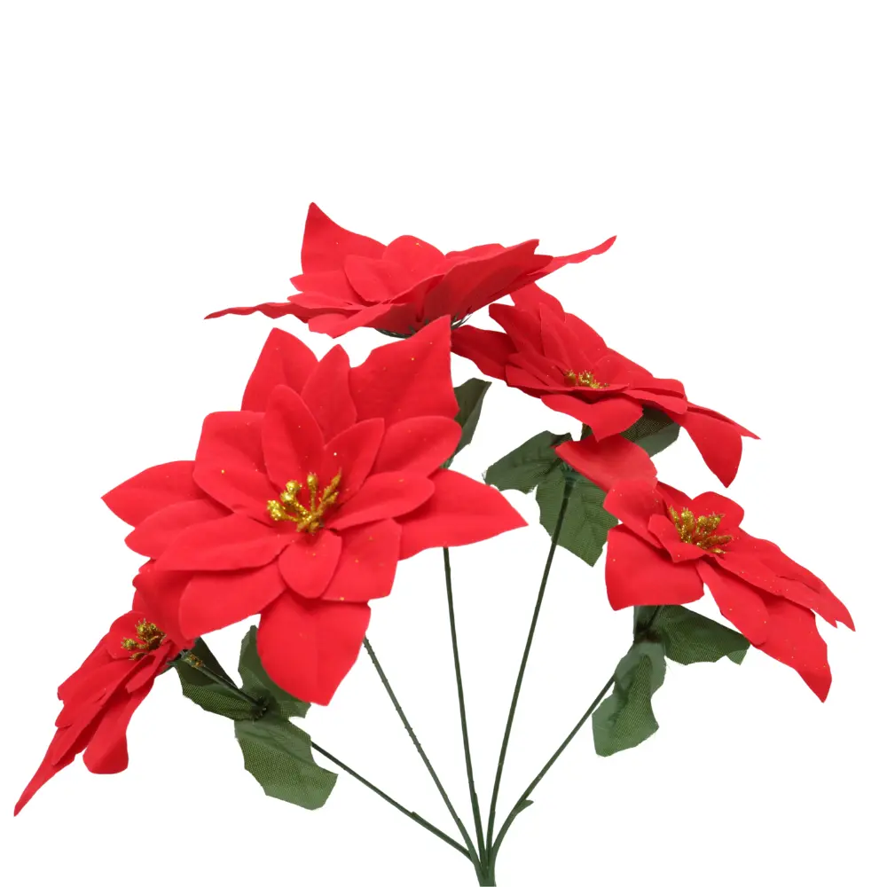 flor-roja-navideña.webp