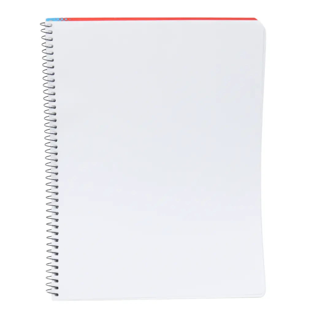 CUADERNO PROF BLANCO 100H ROCA 5000 (2).webp