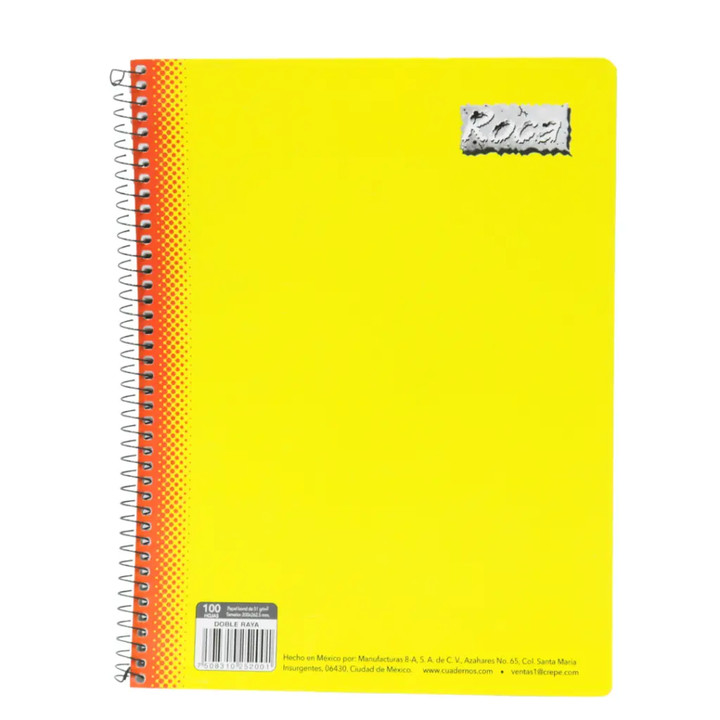 CUADERNO PROF DR 100H ROCA.webp