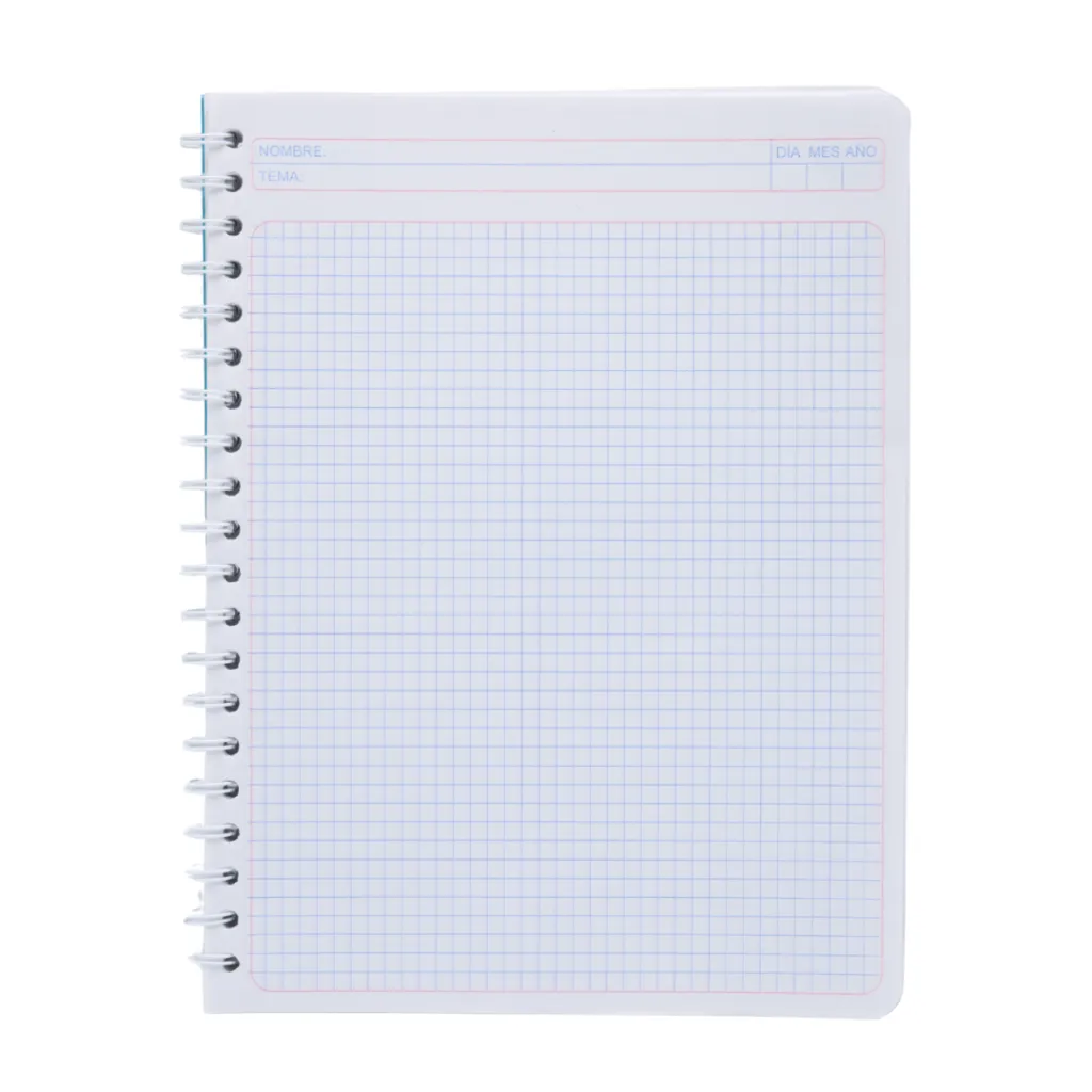 CUADERNO PROF C5 SAIRA DARILLO 100H.webp