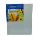 BASTIDOR 20X25 RODIN T-306