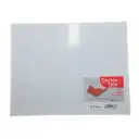 BASTIDOR CARTON 27.9X35.6 RODIN