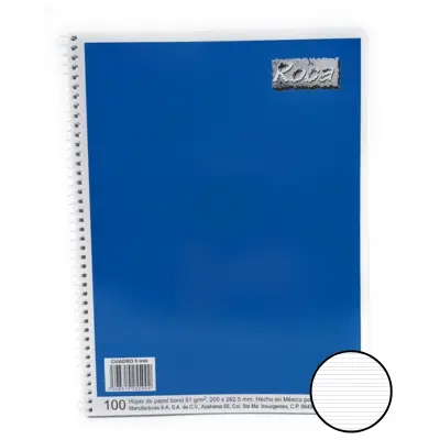 [7508310251004] CUADERNO PROF RY 100H ROCA 5100