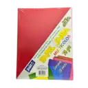 HOJA MULTICOLOR C100 SAIRA