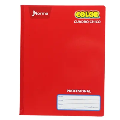 CUADERNO PROF COSIDO C5 100H NORMA 360