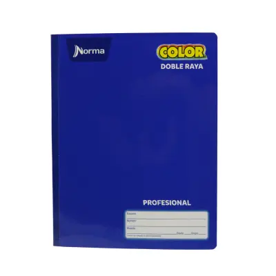 CUADERNO COSIDO PROF DR 100H NORMA 360