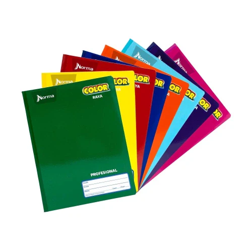 CUADERNO PROF COSIDO RY 100H NORMA 360