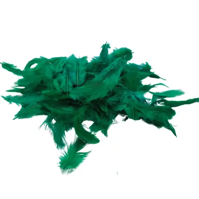 [PPLUMAAVE] PLUMA GALLINA 10G