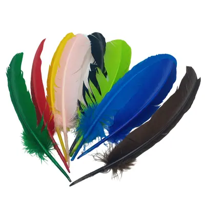 [IMPPLU012] PLUMA PAVO MOD. ATQPL #8"/13" PZA
