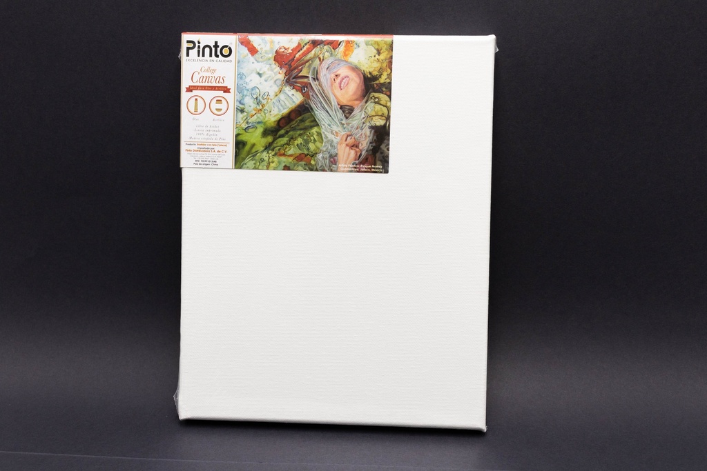 BASTIDOR 20X25 COLLEGE CANVAS PINTO