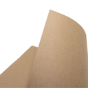 PAPEL MI TEINTES 50X65 160GR MARRON CANSON 501