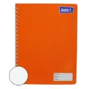 CUADERNO PROF DOBLE ESPIRAL C7 100H SAIRA