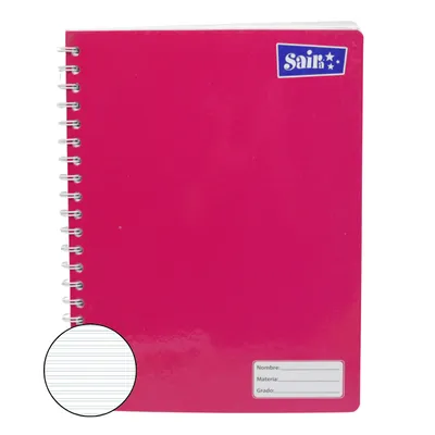 CUADERNO PROF DOBLE ESPIRAL DR 100H SAIRA