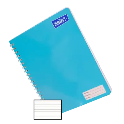 CUADERNO PROF DOBLE ESPIRAL RY 100H SAIRA