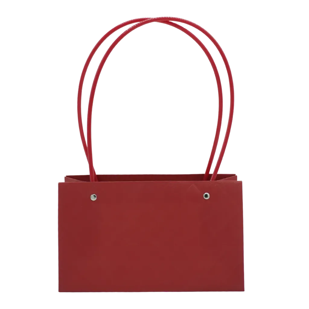 BOLSA REGALO BOUTIQUE ASA GRANDE