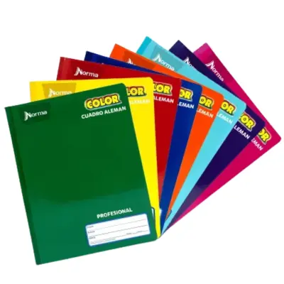 CUADERNO PROF COSIDO ALEMAN C14 100H NORMA 360