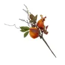 PICK TOMATILLO OTOÑAL R103904