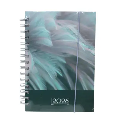 [6998660600019] AGENDA 2026 DIA X DIA ESPIRAL D'NOVAC (VSDO-1)