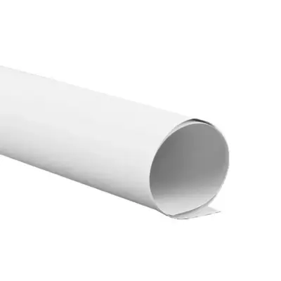 PAQ CARTULINA BLANCA 50X65 150GR DIEM C100