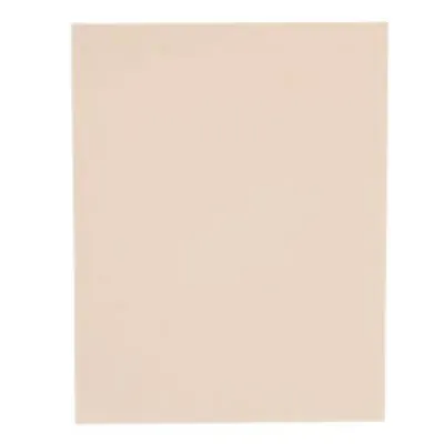 FOMIX CARTULINA LISO (CARNE 13-30A)