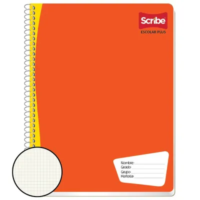 CUADERNO PROF C5 SCRIBE 100H PLUS  7972