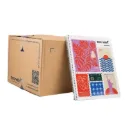 CAJA CUADERNO PROF ESPIRAL 100H ESTRELLA STARKID RAYA C/36