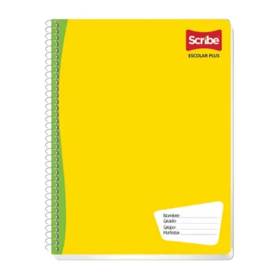 CUADERNO PROF DR 100H SCRIBE PLUS